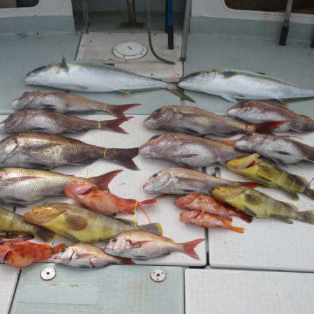 R8.4月6日（月曜日）中潮　鯛ラバ釣果